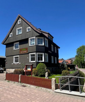 Villa Gesine Braunlage